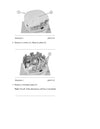 DOWNLOAD CATERPILLAR 3408B GEN SET ENGINE SERVICE REPAIR MANUAL 78Z