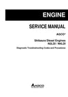 AGCO Shibaura Diesel Engines Diagnostic Trouble Codes (DTC) Service Manual N3LDI / N4LDI