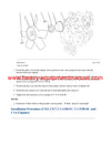 DOWNLOAD CATERPILLAR C1.5 INDUSTRIAL ENGINE SERVICE REPAIR MANUAL C5N