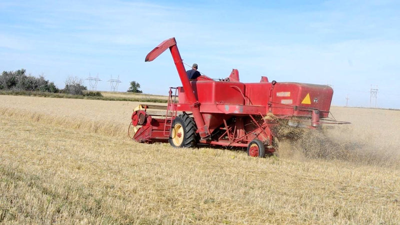 Massey Ferguson 92 SUPER Combine Parts Manual - Download PDF