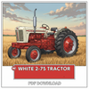 White 2-55, 2-65, 2-75 Tractor Complete Service Repair Manual