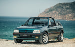 1993 Peugeot 205 Workshop Repair manual DOWNLOAD