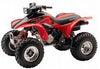 1995-2000 Honda TRX300 / TRX300FW FOURTRAX ATV Service Repair Manual Download PDF