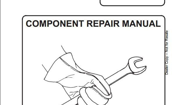 Download Bobcat Hydraulic Cylinders Workshop Service Repair Manual